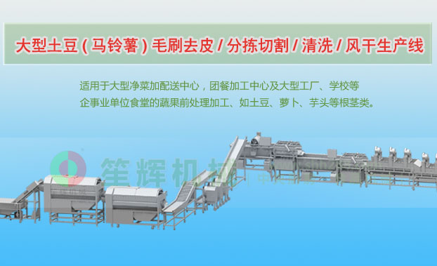 临湘连续式土豆去皮清洗切割风干生产线